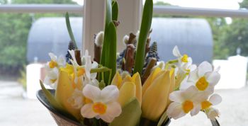 Twenty percent off late availability Summer 2025